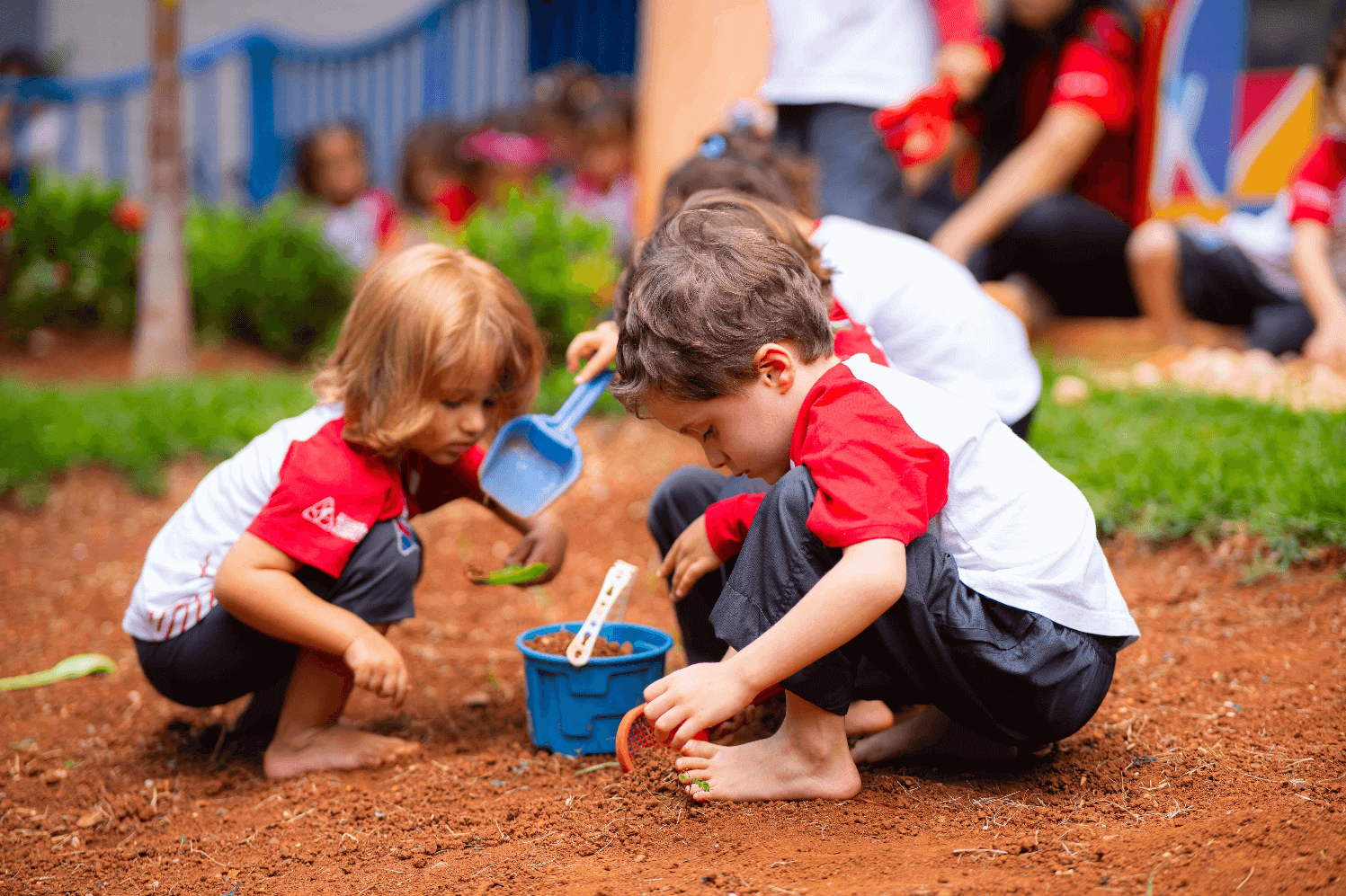 Ensino educação infantil